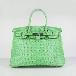 Hermes Birkin 30Cm Crocodile Head Stripe Handbags Green Silver